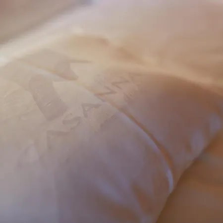 Casanna Center Hotel Davos